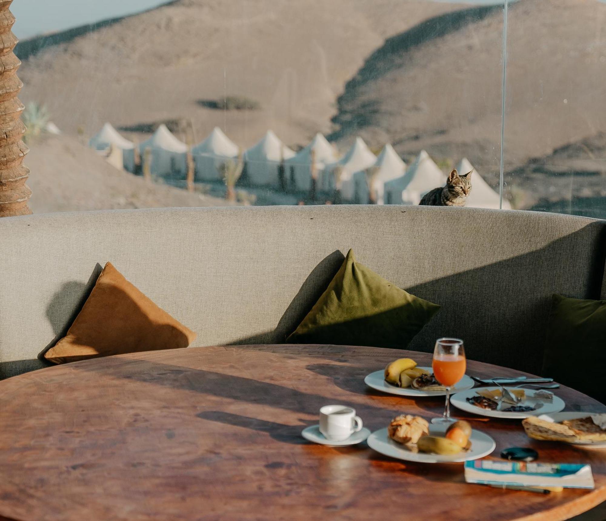 The White Camel Camp - Agafay Desert Activities * مراكش